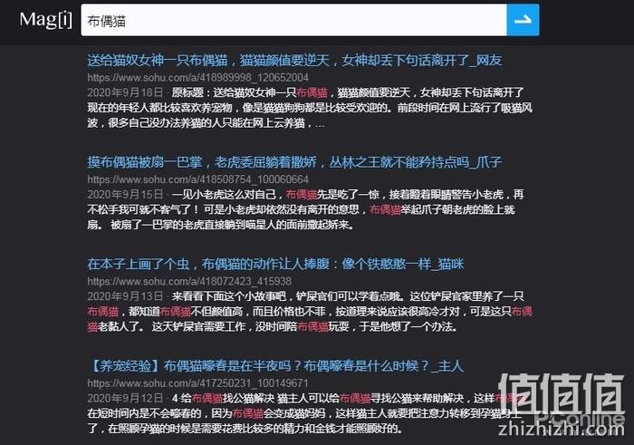 magi搜索