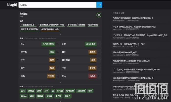 magi搜索