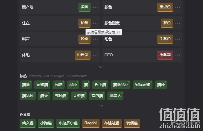 magi搜索