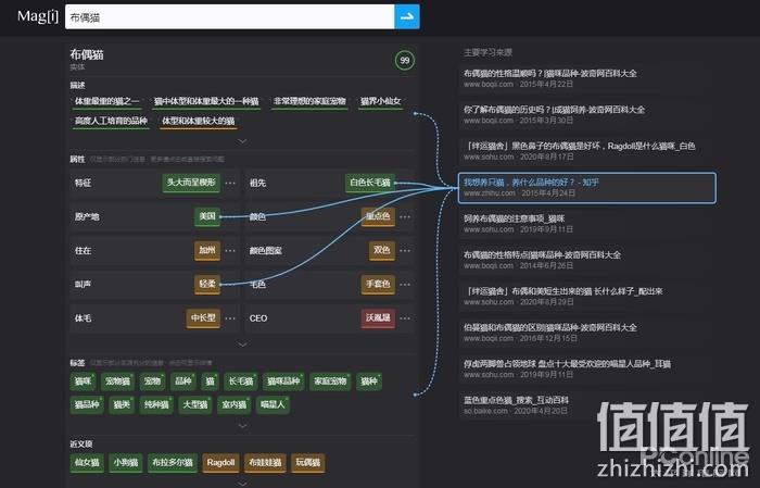 magi搜索