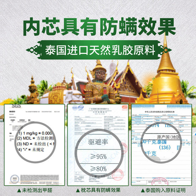 金葵花认证 舒娜 泰国进口乳胶 按摩枕 图4