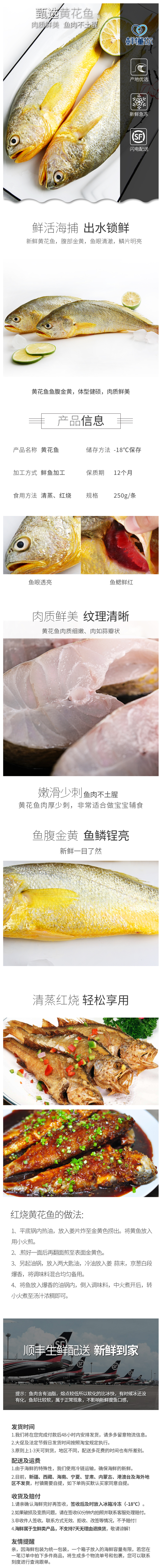 鲜懂你 宁德半野生 冷冻黄花鱼 6条共3斤 图1