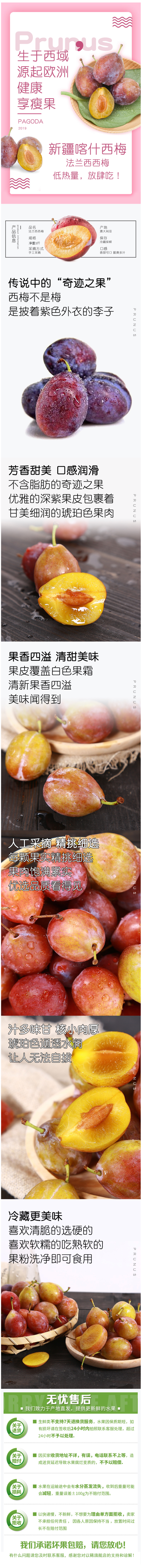 传说中的奇迹果 新疆西梅中的贵族 喀什法兰西西梅 净重3斤 无脂肪不发胖 图5
