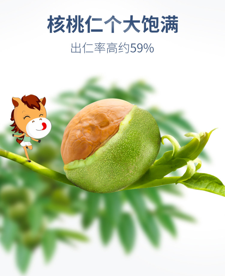 马一芳 薄皮核桃 500g 图5