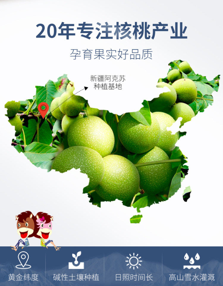 马一芳 薄皮核桃 500g 图2