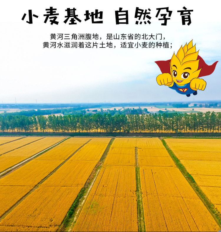 中裕 麦芯挂面150克x15包 2mm扁面 4.5斤 图3