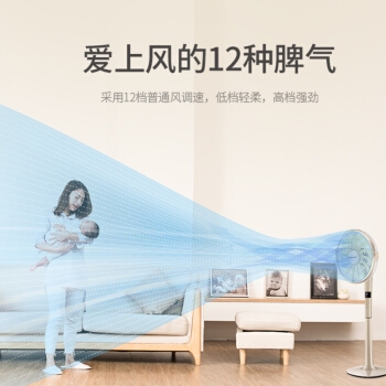 历史低价： SINGFUN 先锋 DLD-D9 遥控落地扇 图3