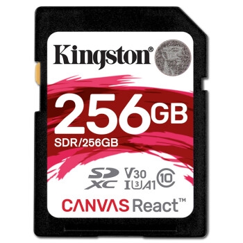 Kingston 金士顿 A1 256GB SD Class10 UHS-I U3 V30 SD储存卡 图1