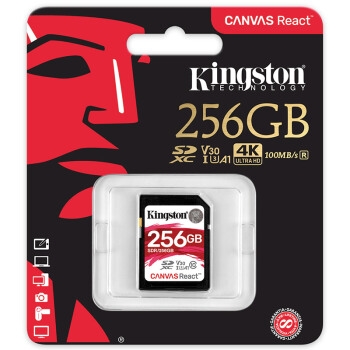Kingston 金士顿 A1 256GB SD Class10 UHS-I U3 V30 SD储存卡 图5