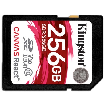 Kingston 金士顿 A1 256GB SD Class10 UHS-I U3 V30 SD储存卡 图4