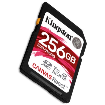 Kingston 金士顿 A1 256GB SD Class10 UHS-I U3 V30 SD储存卡 图3