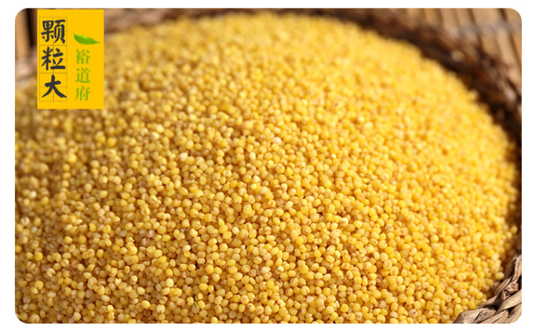 裕道府 黄小米 1kg*2 图6