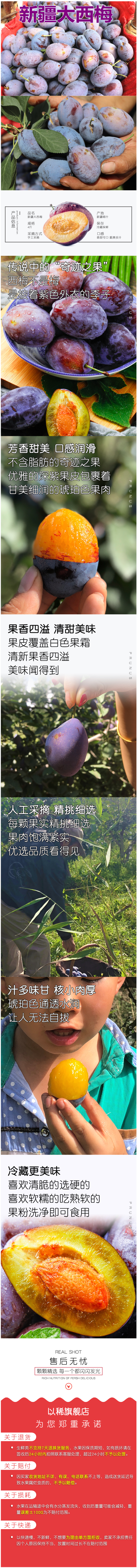 现货 传说中的奇迹果 新疆西梅中的贵族 喀什法兰西西梅 带箱5斤 无脂肪不发胖 图5