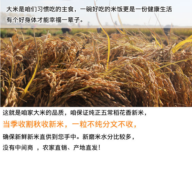 优质东北黑龙江稻花香大米 10斤 图3