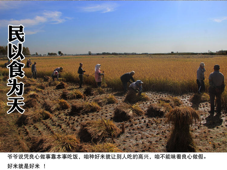 优质东北黑龙江稻花香大米 10斤 图2