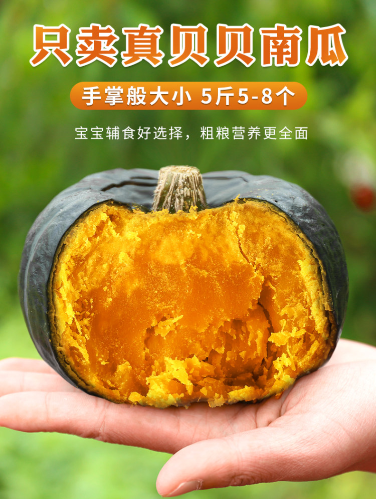 贝贝 板栗味南瓜 5斤 图1