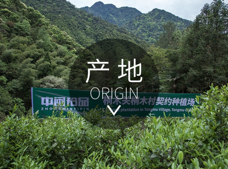 中闽裕品 武夷山金骏眉 蜜香型红茶 125g 图2