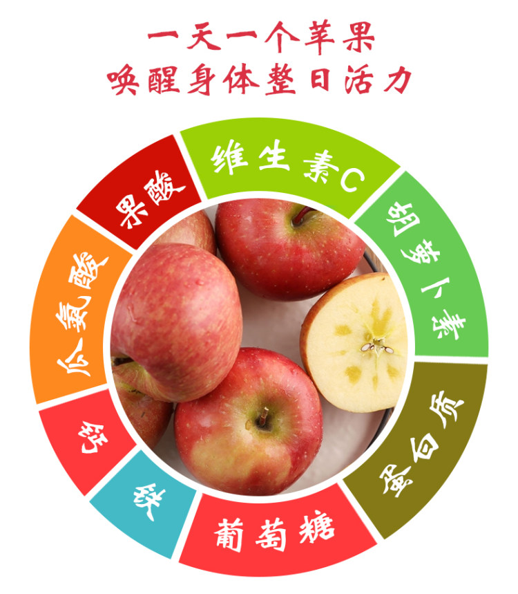 山西糖心红富士苹果 现摘10斤 图5