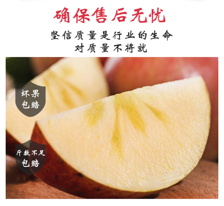 山西糖心红富士苹果 现摘10斤 图2