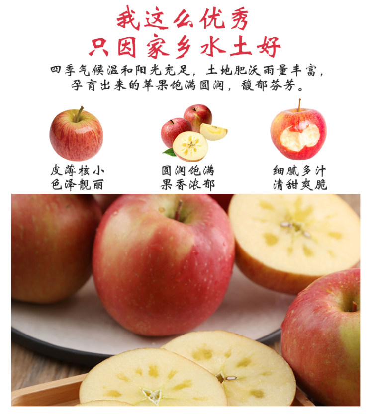 山西糖心红富士苹果 现摘10斤 图6