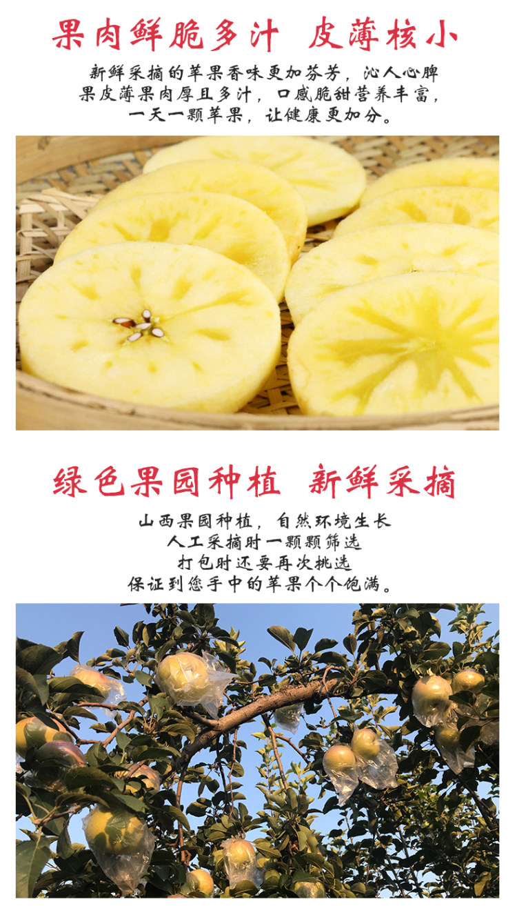 山西糖心红富士苹果 现摘10斤 图4