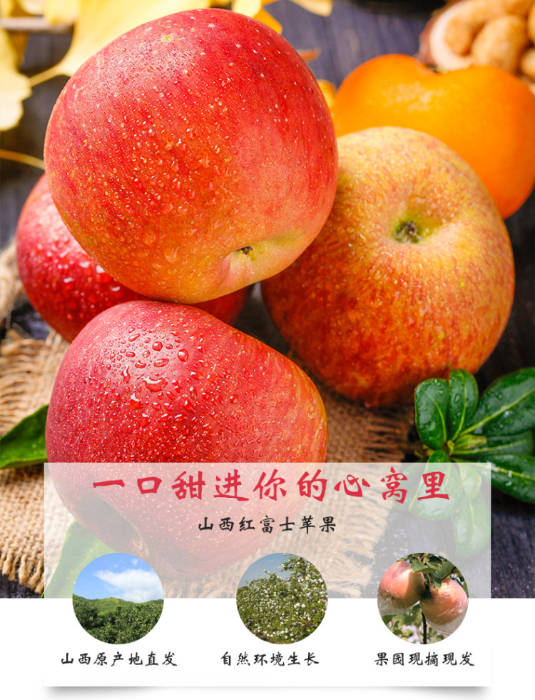 山西糖心红富士苹果 现摘10斤 图1