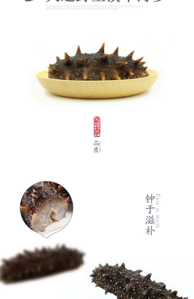 野生 淡干海参50g  可发泡1一斤到一斤半 图2