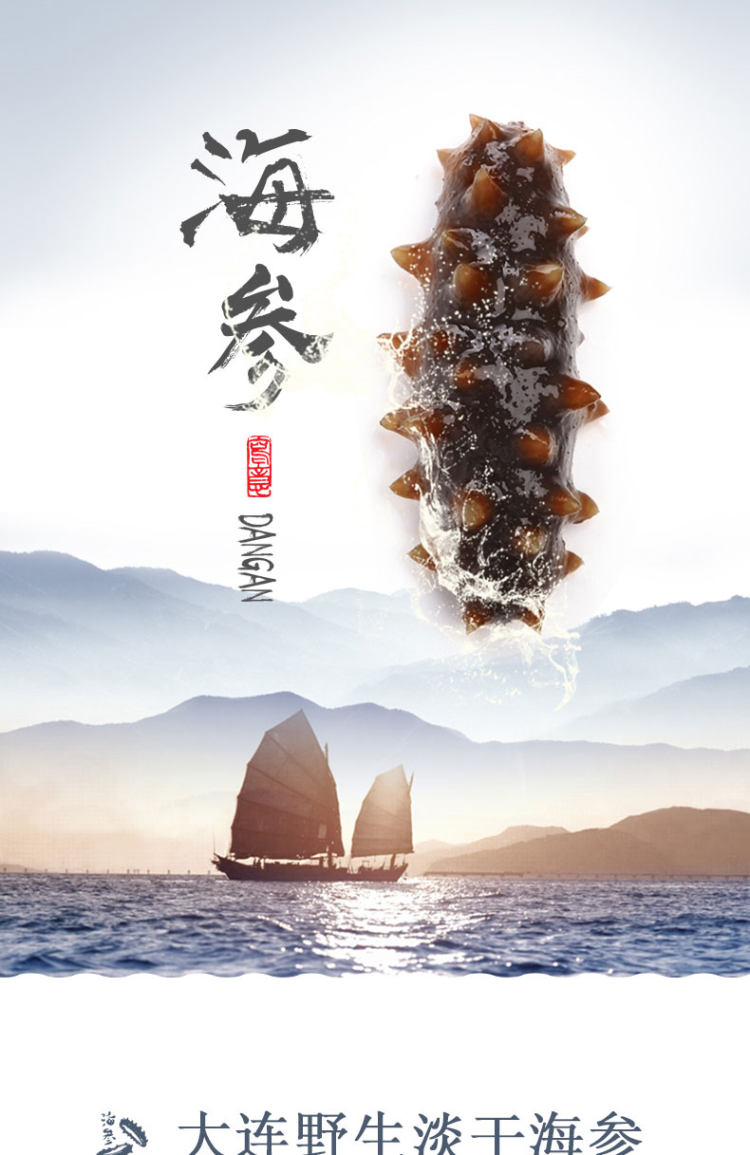 野生 淡干海参50g  可发泡1一斤到一斤半 图1