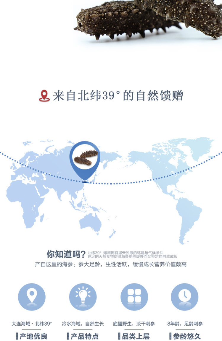 野生 淡干海参50g  可发泡1一斤到一斤半 图3