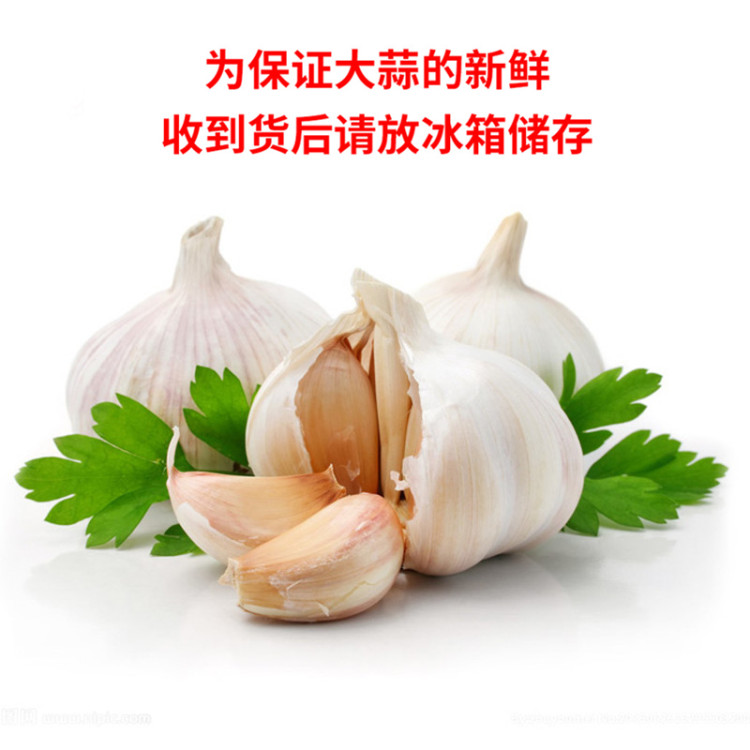 干大蒜净重五斤 图1