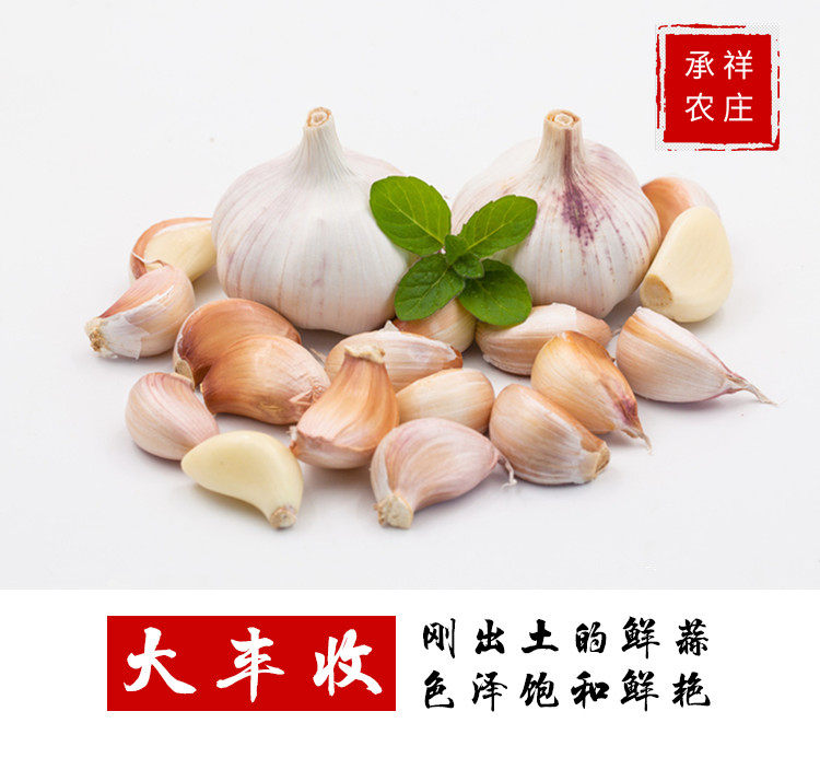 干大蒜净重五斤 图5