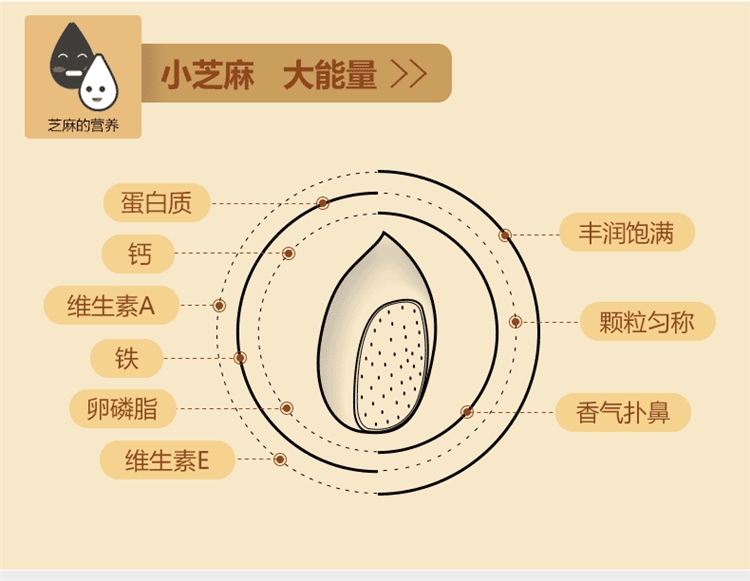 劲家庄 黑芝麻燕麦五谷粉代餐粉   350g 图3