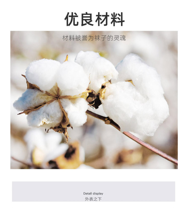 8双女士纯棉袜子 图3