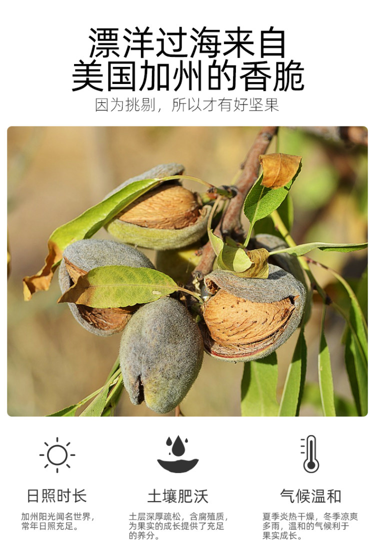 商超同款 天虹牌 盐焗巴旦木160g 图3