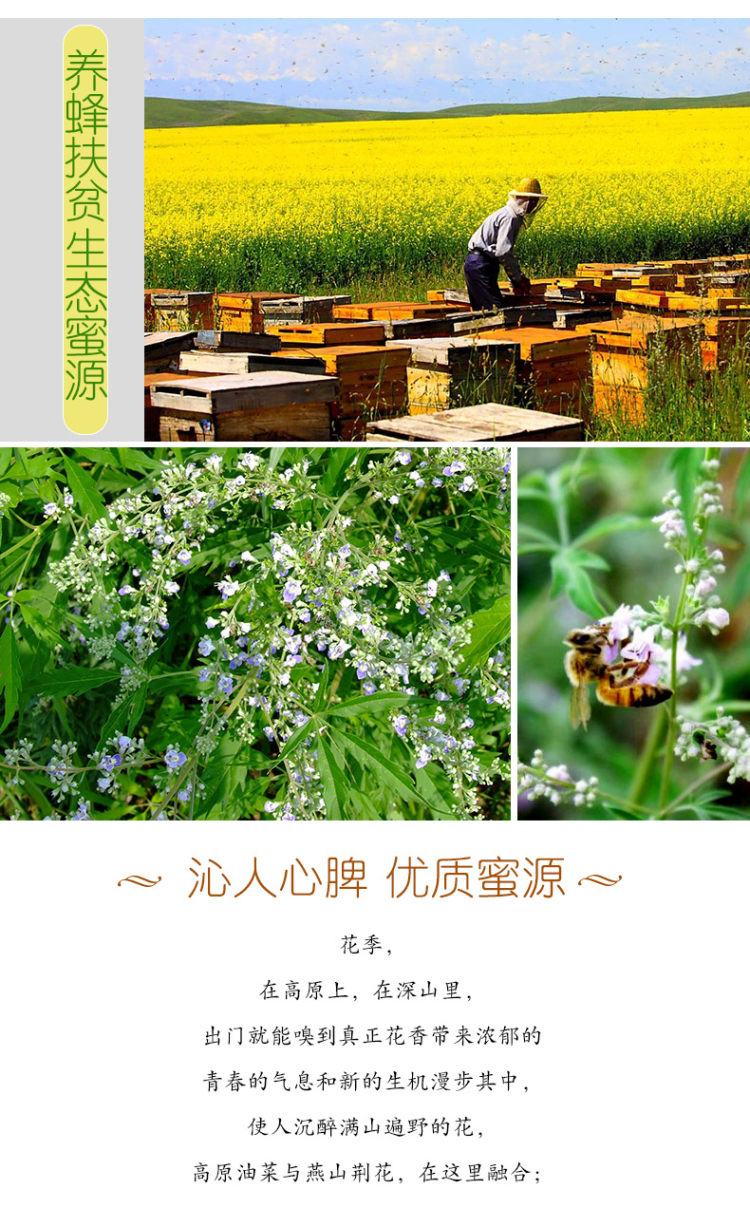 中华老字号 百花 野生百花蜜 415g/瓶 图3