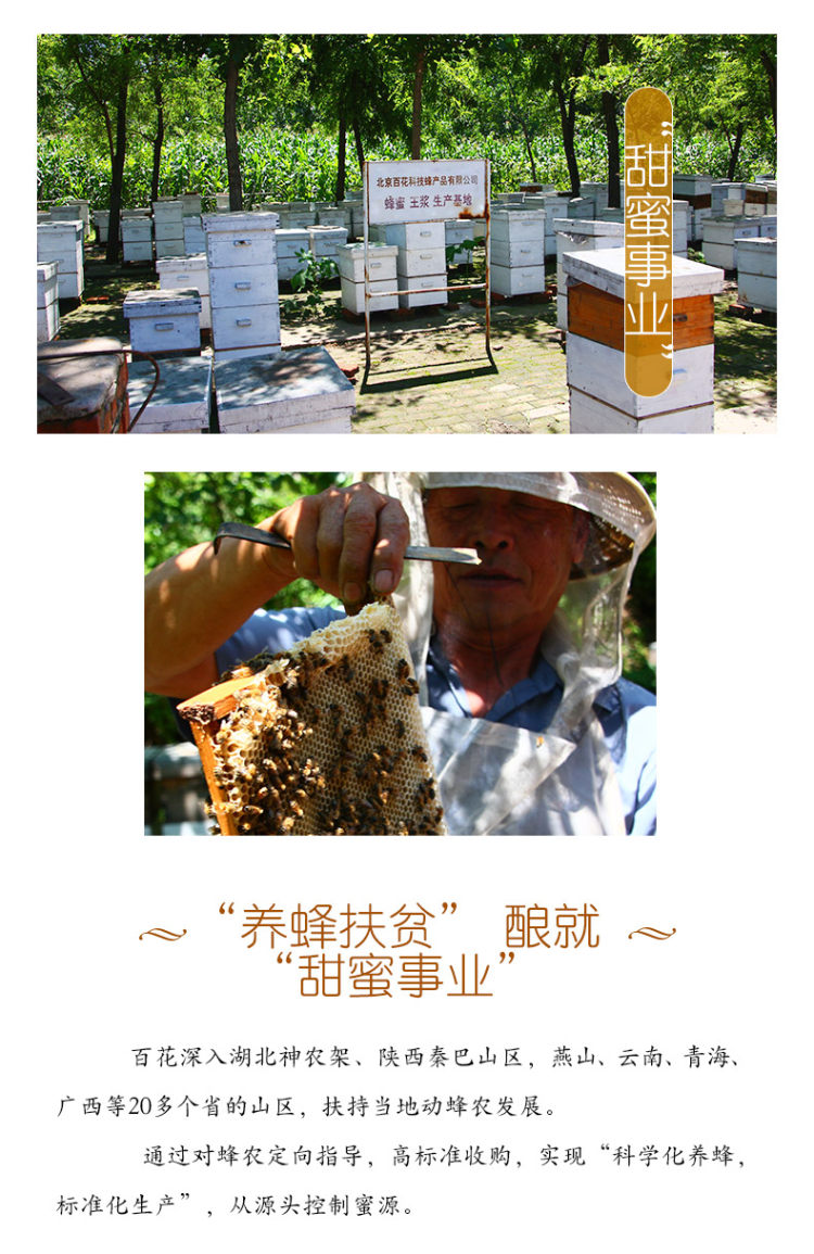 中华老字号 百花 野生百花蜜 415g/瓶 图4