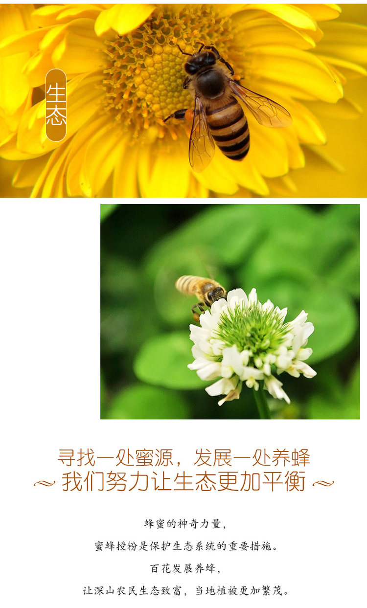 中华老字号 百花 野生百花蜜 415g/瓶 图2