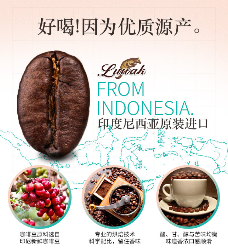 印尼原装进口 Luwak 速溶猫斯露哇白咖啡 20g*20条 图3