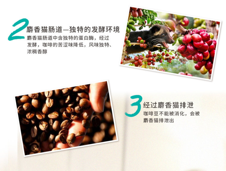 印尼原装进口 Luwak 速溶猫斯露哇白咖啡 20g*20条 图5