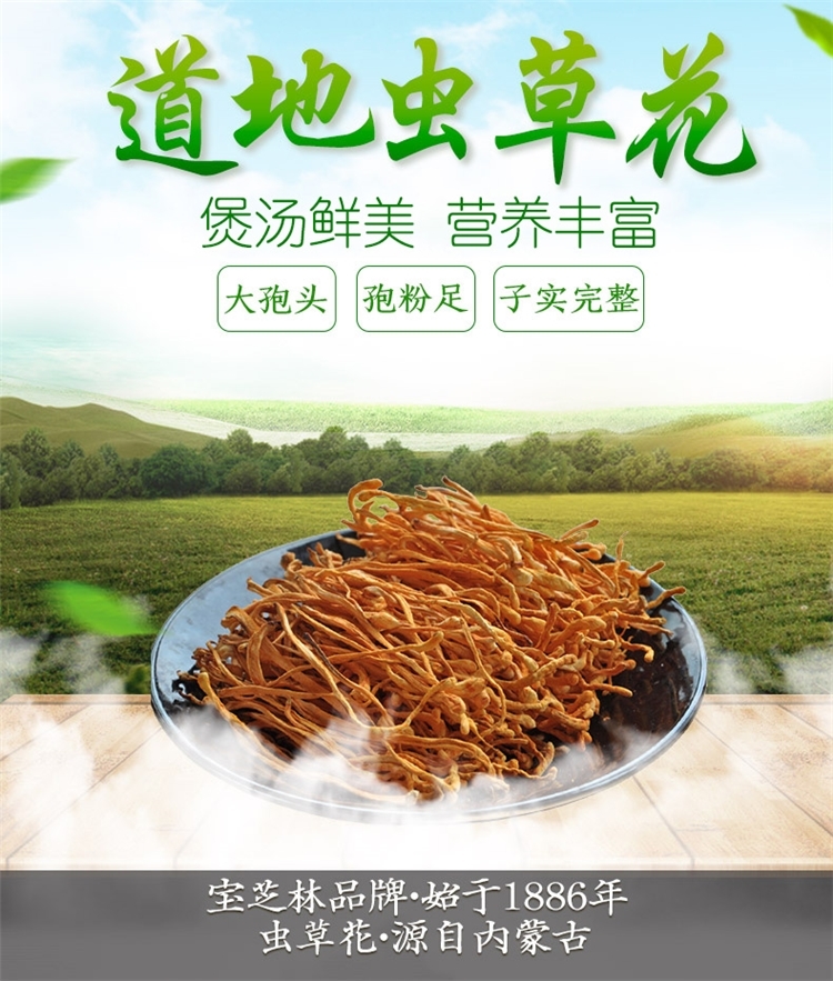 宝芝林 蛹虫草 250g 图2