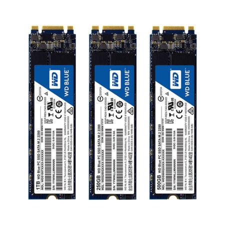 WD 西部数据 Blue M.2 固态硬盘 1TB 图4
