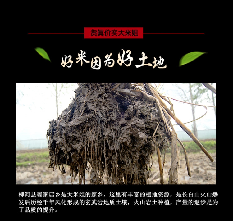 央视报道 大米姐 东北富硒长粒香大米 10斤 图4