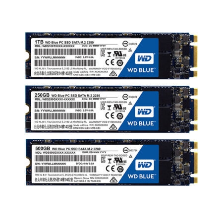 WD 西部数据 Blue M.2 固态硬盘 1TB 图3