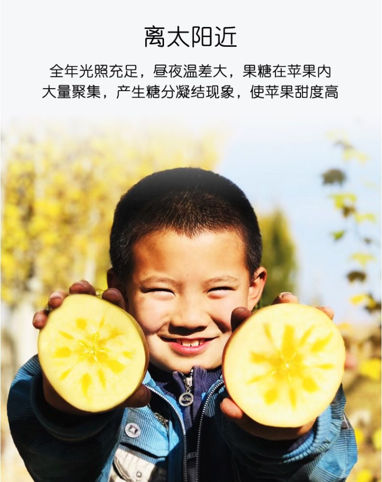 现货 果核真的透明 新疆阿克苏冰糖心苹果 果径80-90mm大果 净重8斤 图4