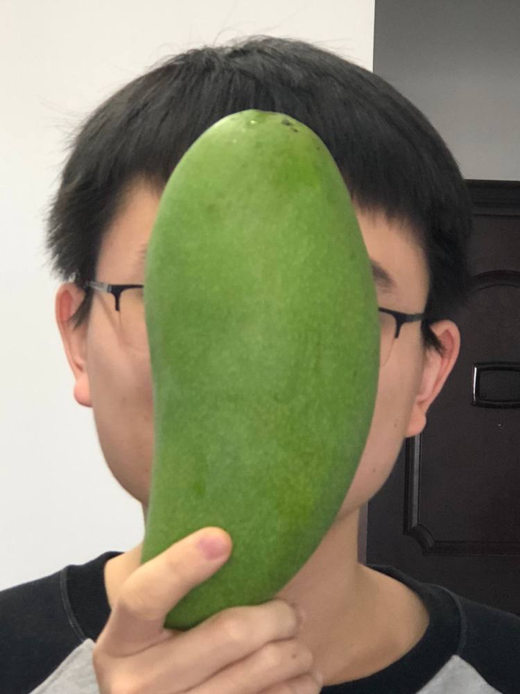 我们买过 超甜又便宜的巨无霸越南大青芒 净重8斤 单果500-1000g 图8