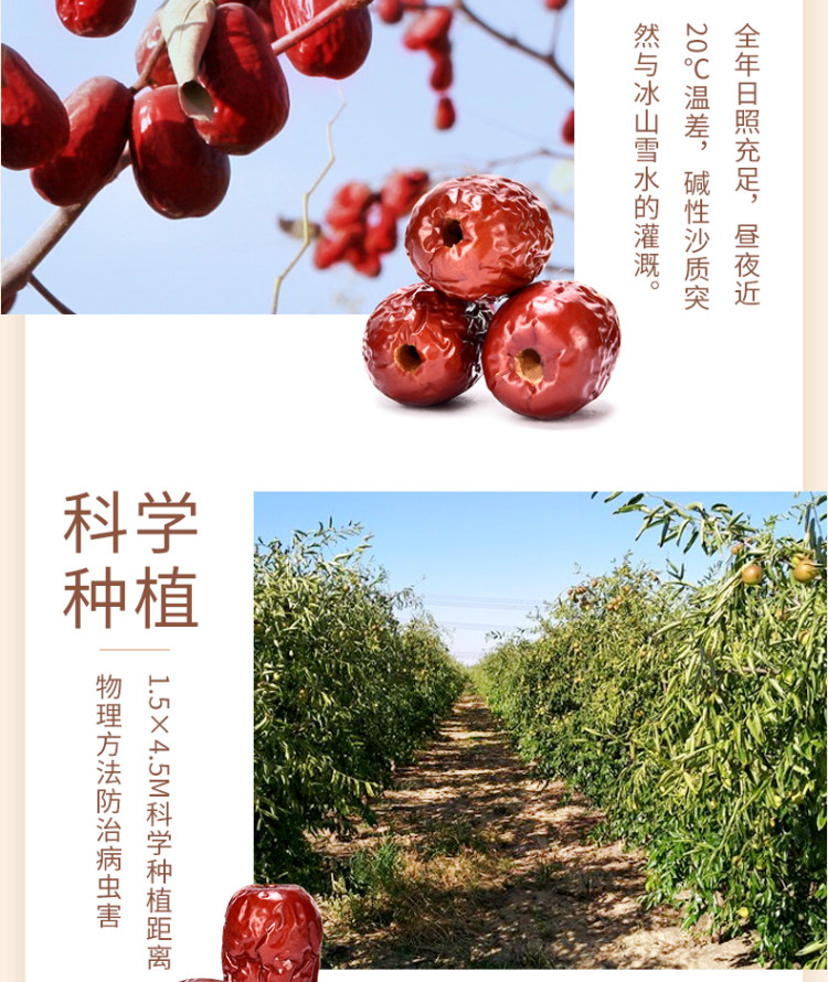 莫卡农庄 新疆无核小红枣5斤装 图3