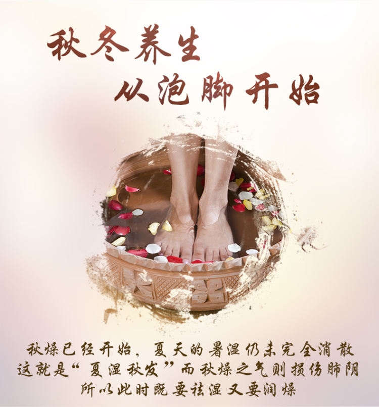 龙源 艾草 驱寒祛湿 泡脚丸 10g*30颗 图1