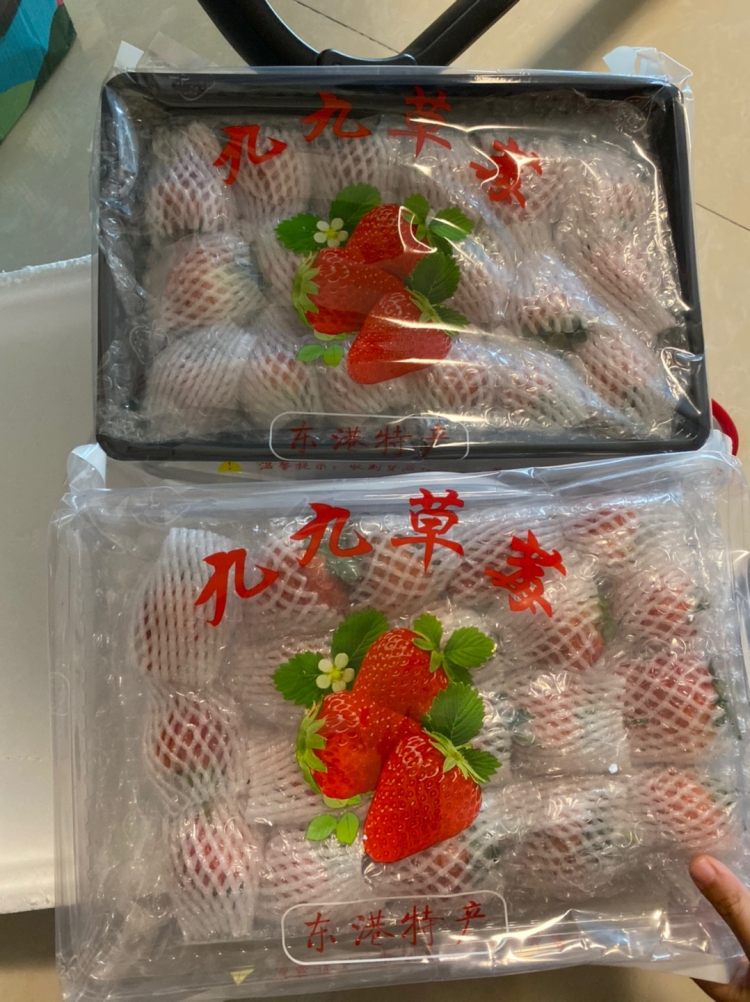 丹东东港 99红颜奶油草莓 3斤 图2