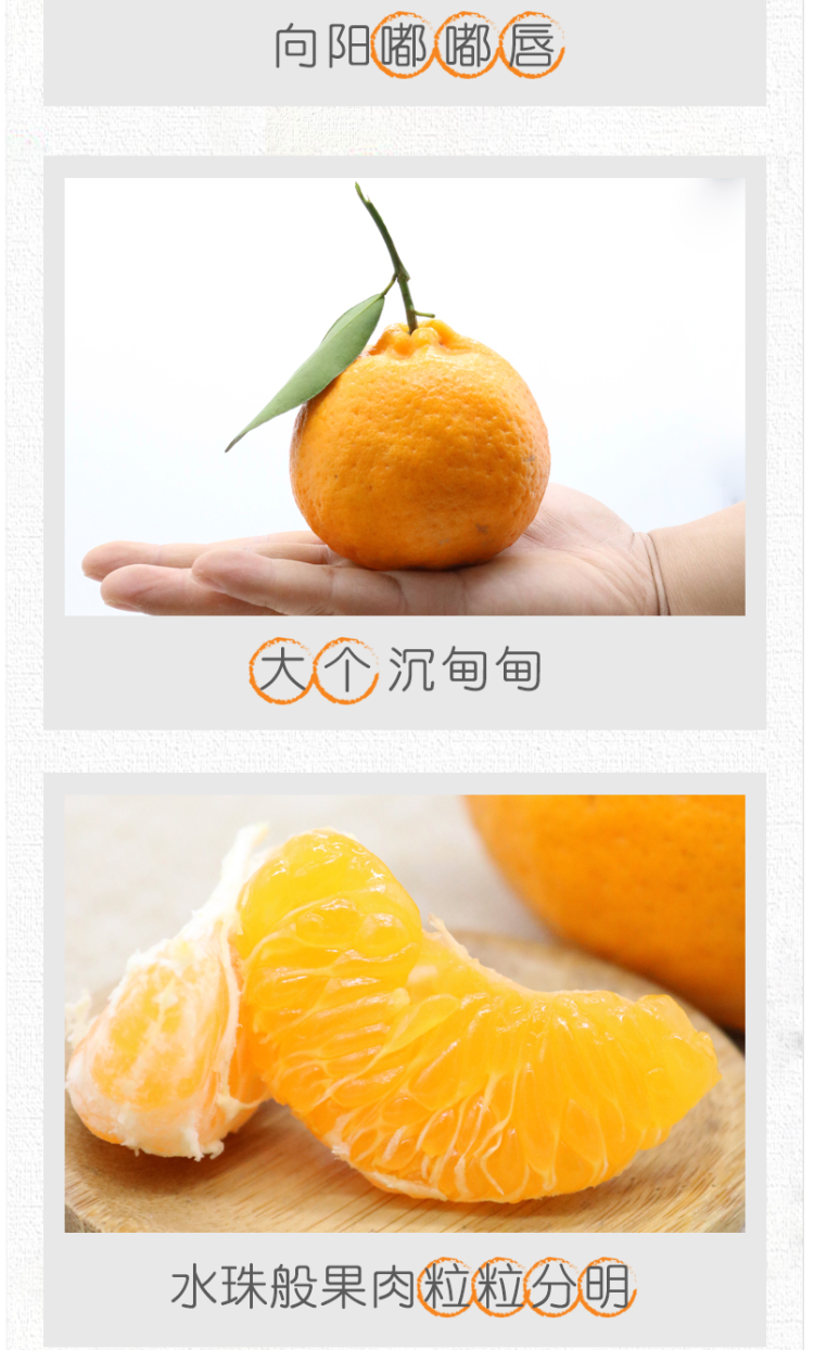 四川丑橘 新鲜不知火 丑柑 5斤 图5