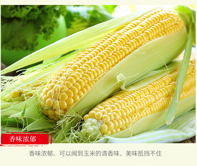 云南现摘水果玉米 带箱10斤 水果类4.8分品质靠谱 图4